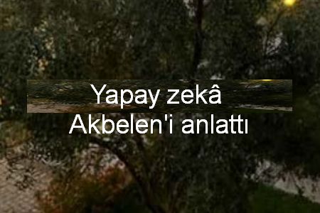 Yapay zekâya sorduk